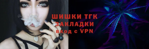соль ск Арсеньев