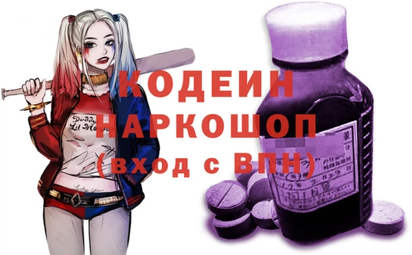 соль ск Арсеньев
